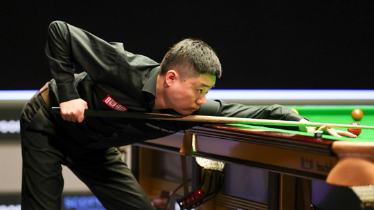 育的庆典 育的庆典