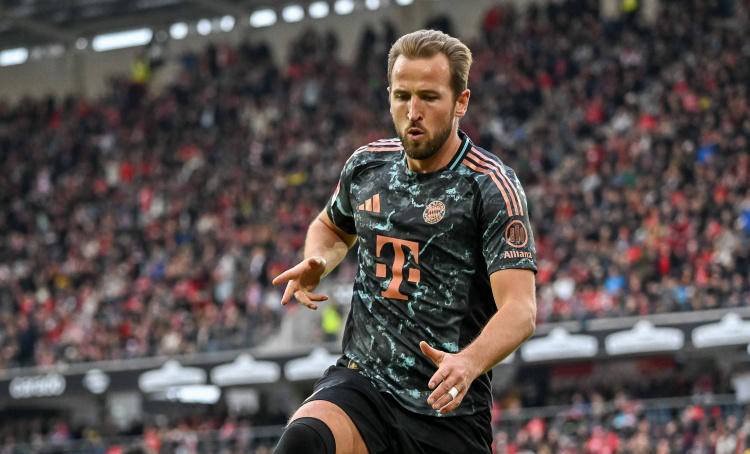 基本上都是 基本上都是