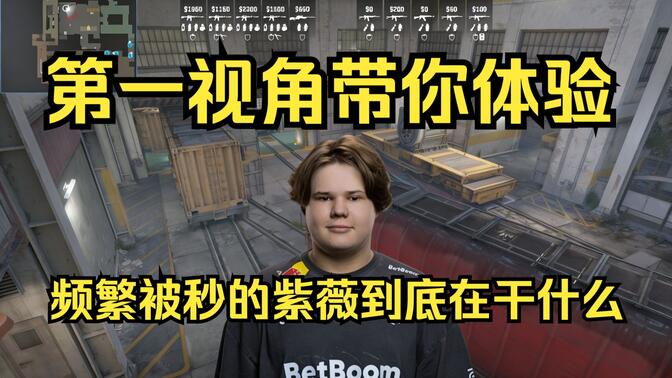 止是数据对